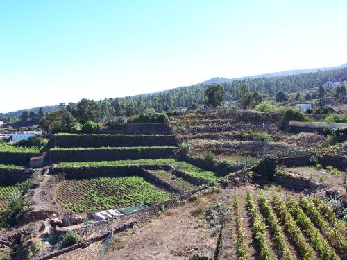 Teneriffa ferienhaus