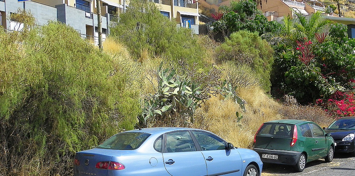 Teneriffa Gnadenhof, Tierpension