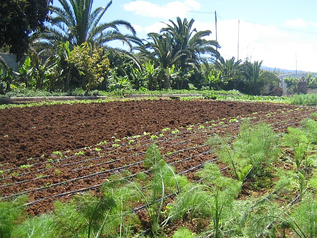 teneriffa immobilie