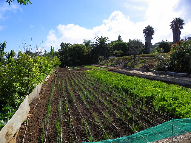 teneriffa immobilie