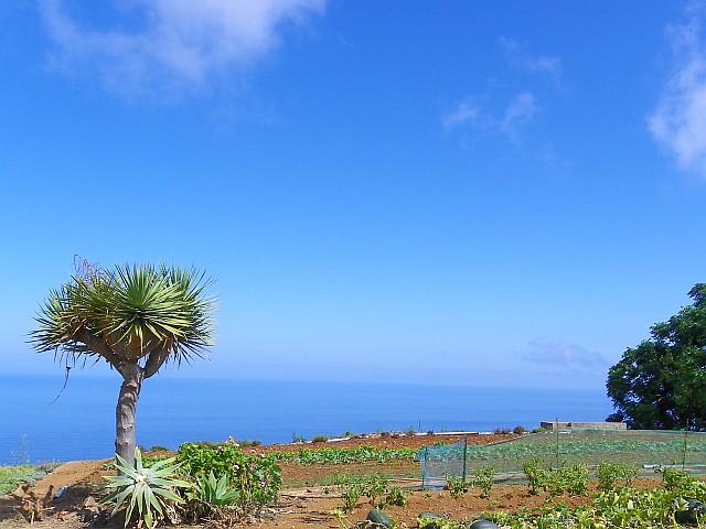 teneriffa immobilie