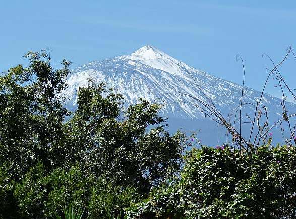 teneriffe immobilie