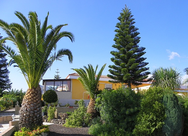 Immobilie teneriffa 