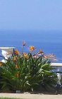 Exklusive Immobilien auf Teneriffa