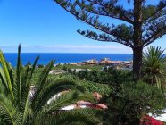 teneriffa immobilien versteigerung 24