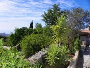 Finca mit Gästewohnungen mitten in der Natur!